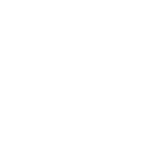 Wordpress logo